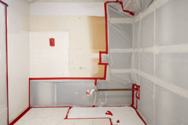 Best Mold Removal for HVAC Installations  in Verona, KY